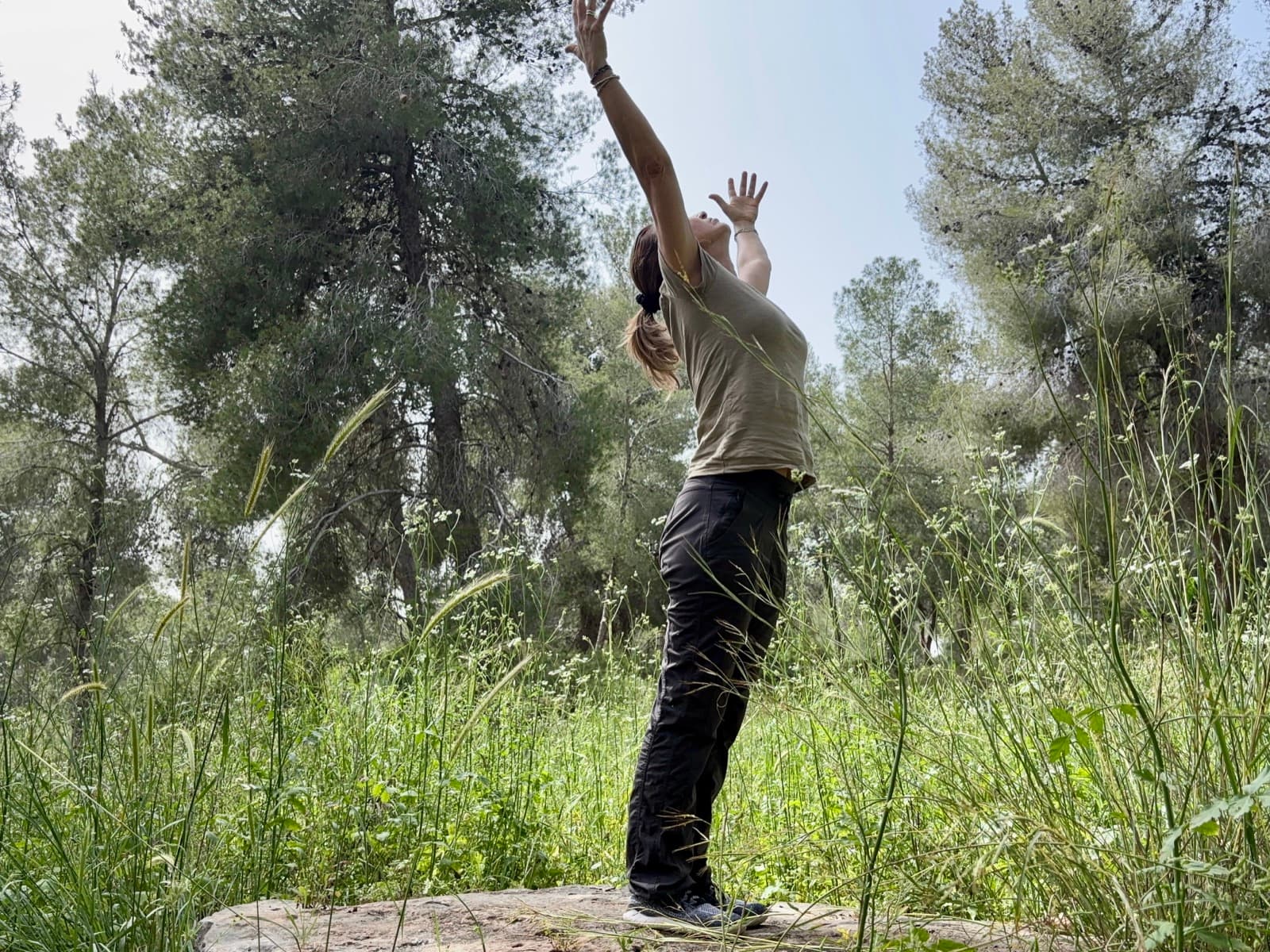 יוגה ביער